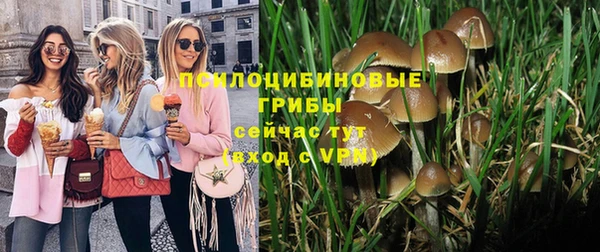 apvp Балахна
