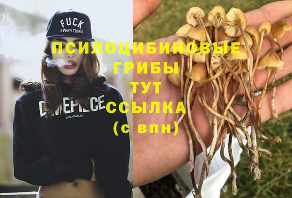 MDMA Баксан