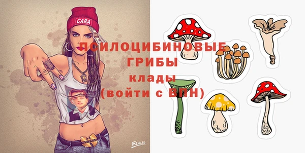 apvp Балахна