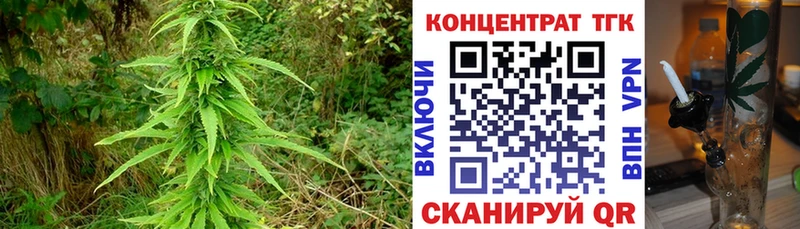 ТГК THC oil Купить где Дедовск