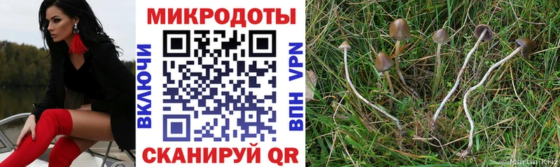Псилоцибиновые грибы Magic Shrooms  Купить  Дедовск 